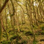 Geraint Rowland via Flickr Geraint Rowland via Flickr