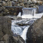 JM1_9137 JM1_9137