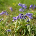 Ali Taylor via Free Images Ali Taylor via Free Images