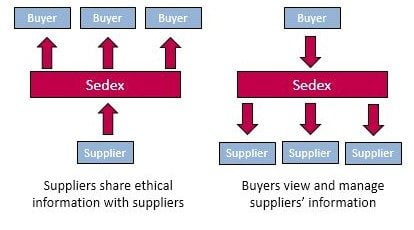 Figure 1, Sedex collaboration