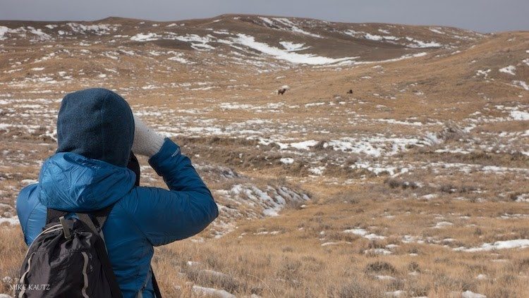 American Prairie Reserve