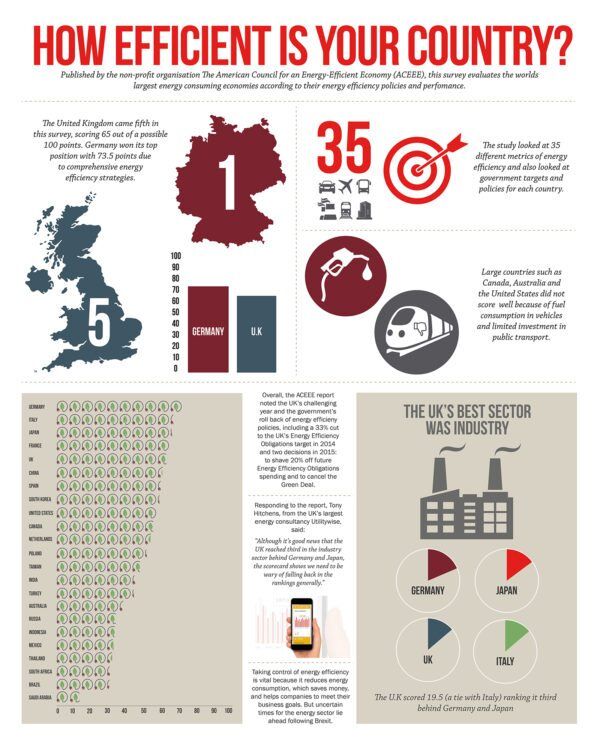 education inforgraphic