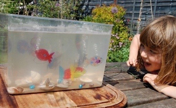 plastic bin fish tank