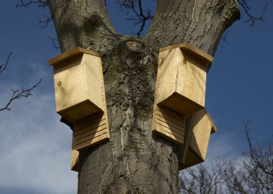 Man made bat roosts