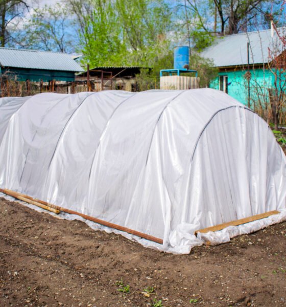 Benefits Of Using Polythene As An Eco Friendly Farmer