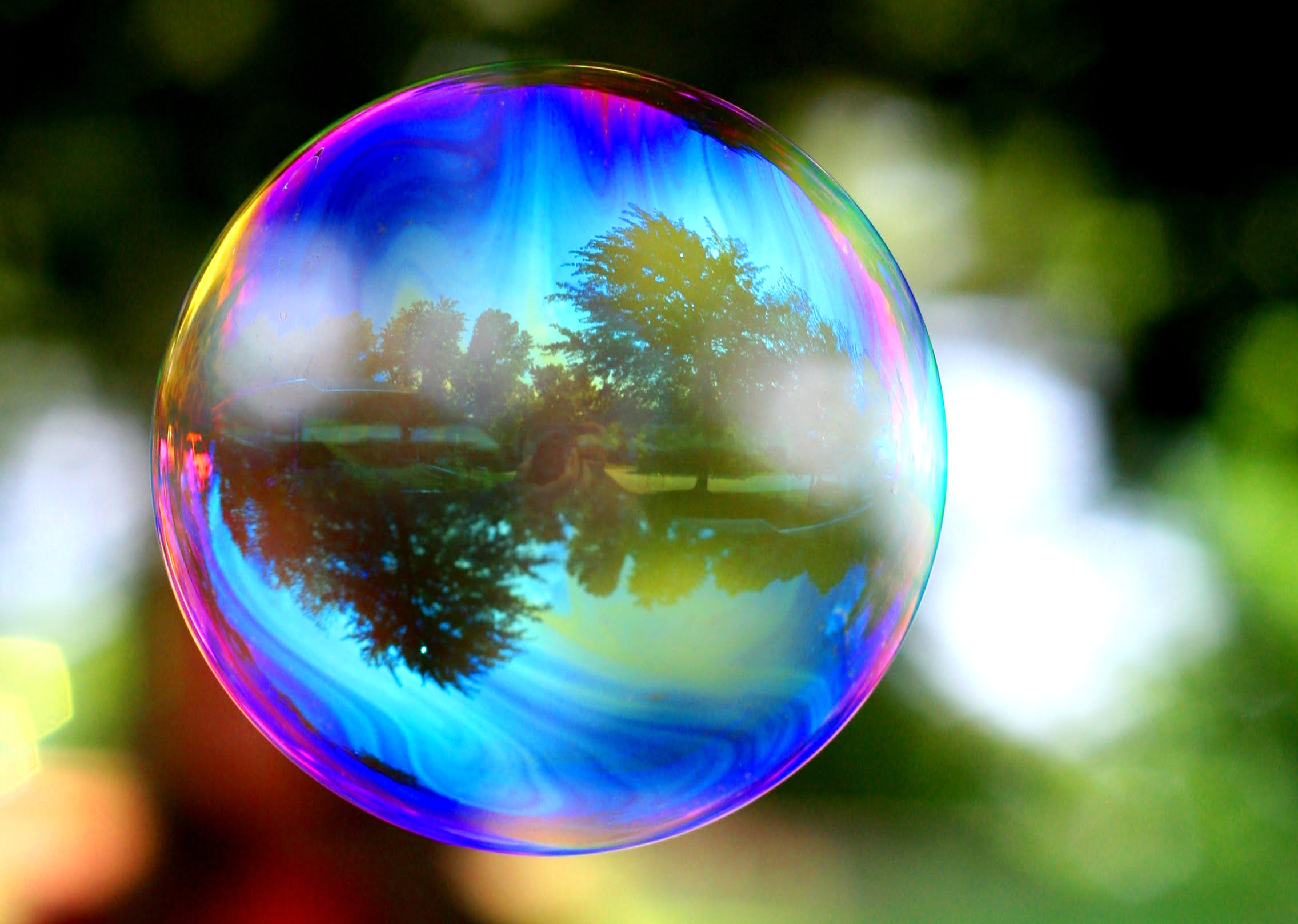 how-online-filter-bubbles-can-reinforce-climate-scepticism-blue-and