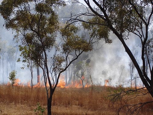 Australian politician Hunt: Wikipedia says no link between bushfires and climate - Blue Green Tomorrow