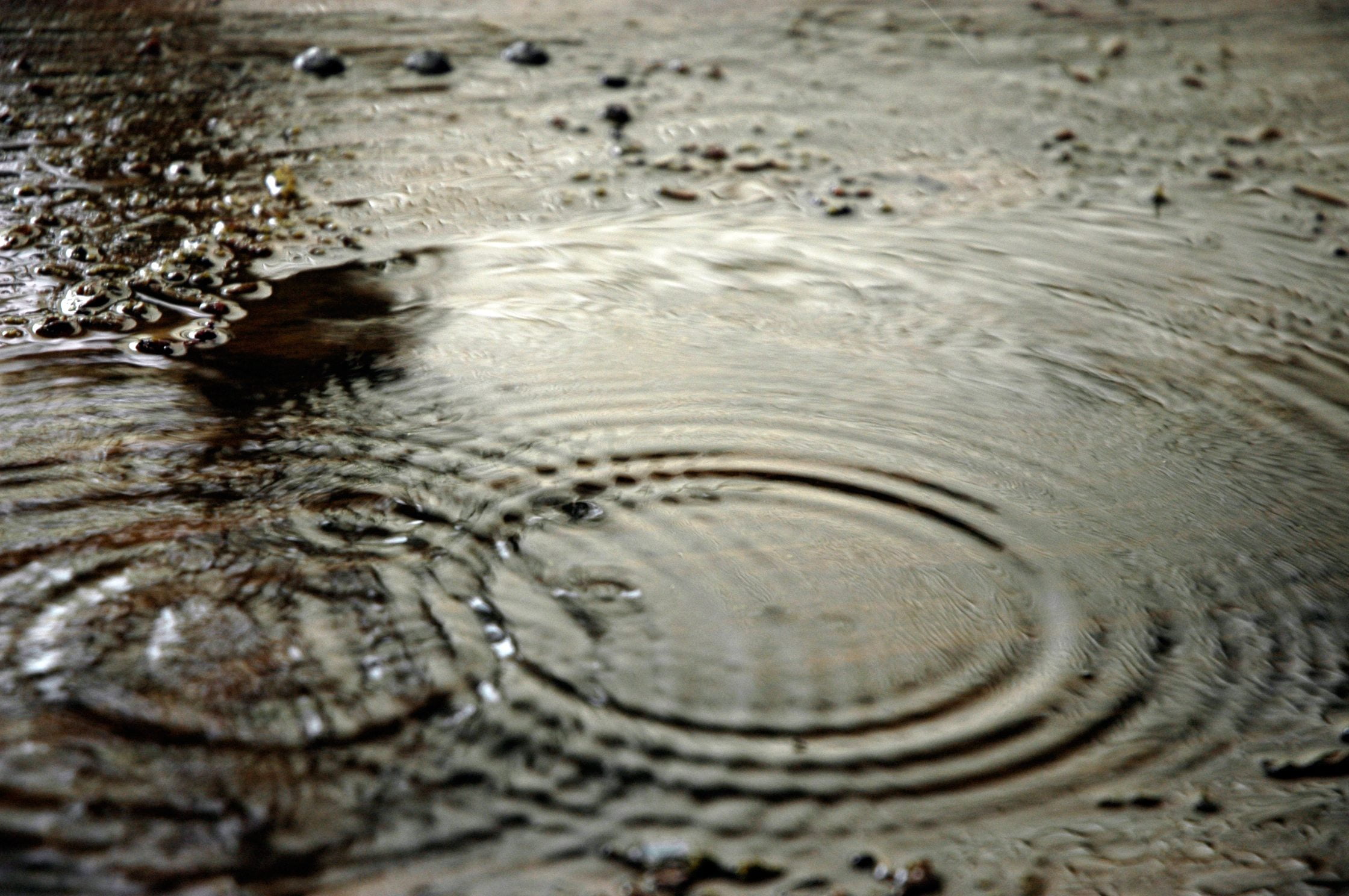 Лужа. Грязная лужа. Лужа воды. Вода на асфальте. Лужа на асфальте.