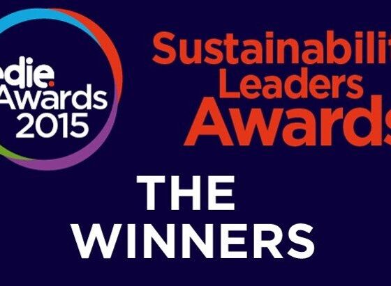 Sustainability Leaders Awards 2015 Winners Revealed Blue And Green