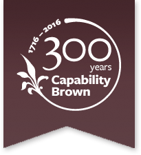 capability brown logo