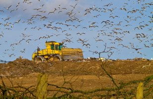 landfill by ellesmere FNC + James via Flickr