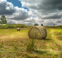 Farmers Dream by Frank via Flikr