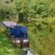 Rochdale Canal by Tim Green