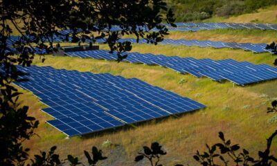 Solar farm by Michael Mees via Flickr