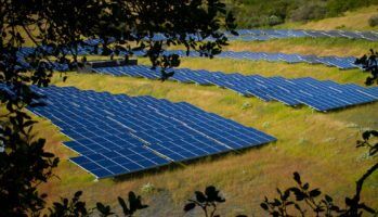 Solar farm by Michael Mees via Flickr