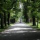 Tivoli Park by Lemsipnatt via Flckr