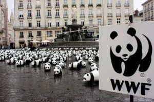 WWF by DocChewbacca via Flickr