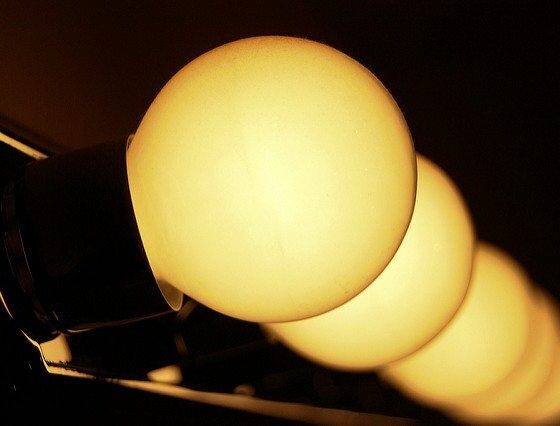 Bulbs By Amit Burstein Via Flickr