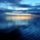 The Green Blue Backs Call For Microbeads Ban