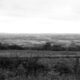 Devon Countryside from the Blackdown Hills by Will Fisher via Flikr