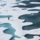 WWF Comment On European Union's Climate Action