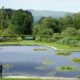 bodnant-garden-by-chris-via-flikr
