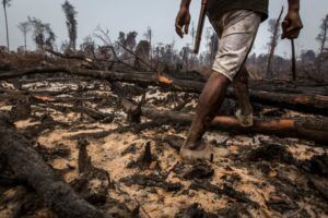 indonesian-forest-fires-via-greenpeace