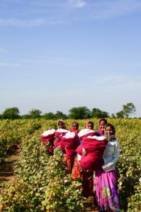 According To New Report Gender Equality Is Key To Boosting Cotton Industry