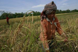 farming-poverty