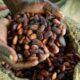 Fairtrade West Africa Producer Network