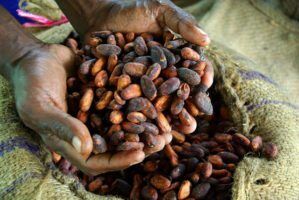 Fairtrade West Africa Producer Network