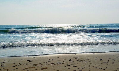 Scottish Renewables Reaction To Installation Of World's Most Powerful Tidal Turbine