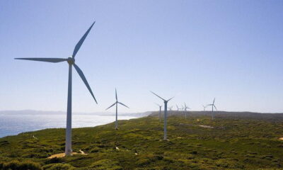 Albany Wind Farm By Lawrence Murray Via Flickr