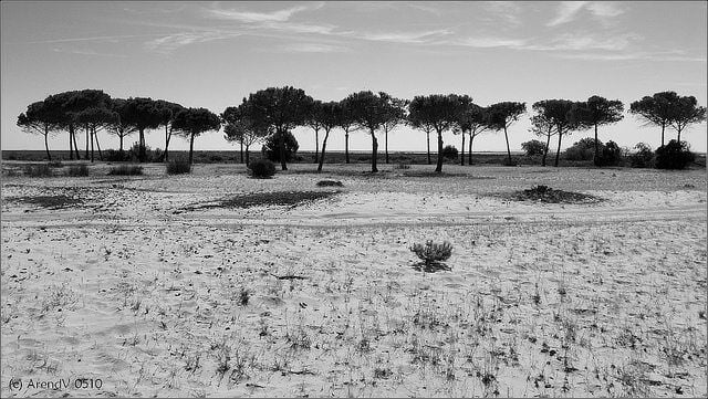 Over 100,000 People Call For Spanish King To Stop National Park From Becoming 'In Danger'