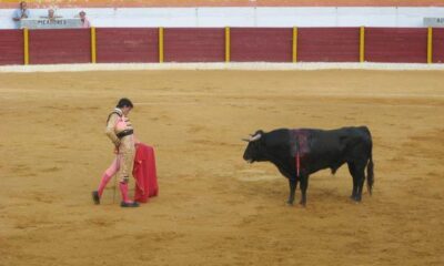 bullfight-spain-by-christian-dalera-via-flikr