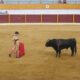 bullfight-spain-by-christian-dalera-via-flikr
