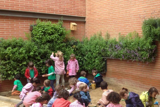 Vertical Gardens In Schools Receive Funding Boost