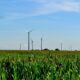 Illinois Wind Farm by tom via flickr