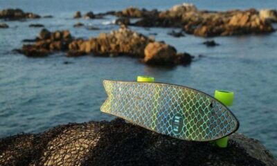 Ocean Skateboard