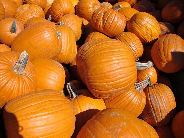 Pumpkins by VasenkaPhotography via flickr