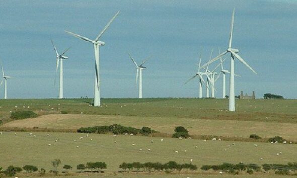 Windfarm by National Rural Knowledge Exchange via Flickr