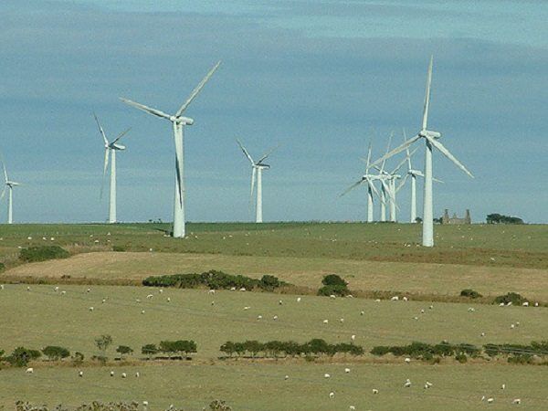 Windfarm by National Rural Knowledge Exchange via Flickr