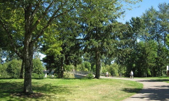 park by kris arnold via flickr