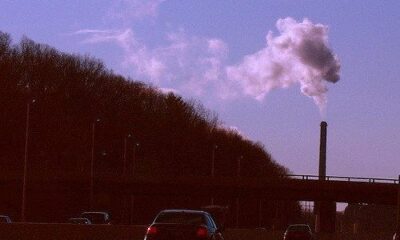 pollution by LEONARDO DASILVA via flickr