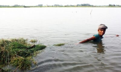 Bangladesh Demonstrate Coping With Climate Change As Talks Begin