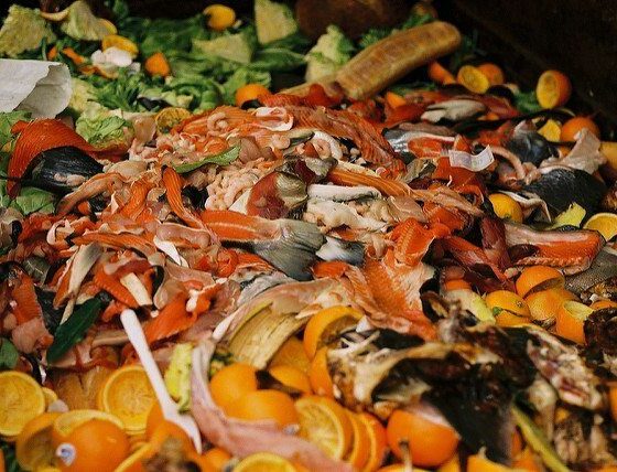 True Extent Of Scotland's Food Waste Revealed By New Research