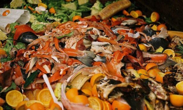 True Extent Of Scotland's Food Waste Revealed By New Research