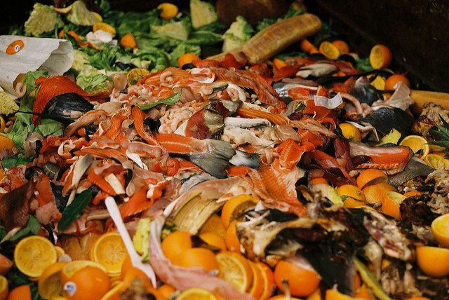 True Extent Of Scotland's Food Waste Revealed By New Research