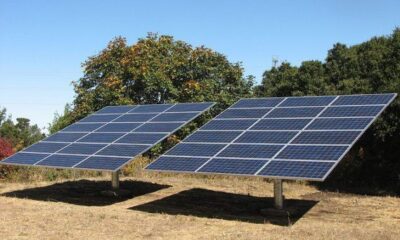Government Needs To Take Action To Allow Solar Industry Growth