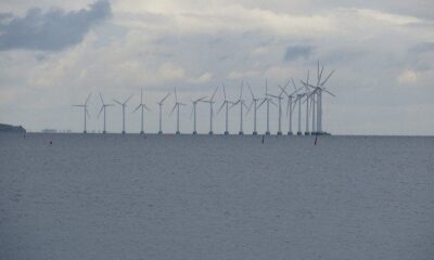 UK Must Take Opportunities In Offshore Wind According To Industry Expert